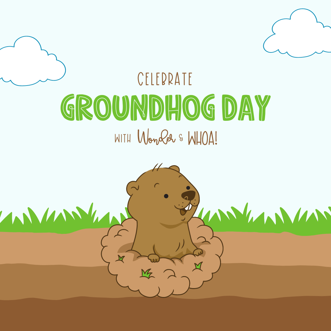 Groundhog Day 2024 Home Celebration Kit